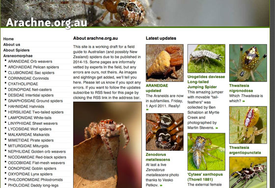 http://www.arachne.org.au