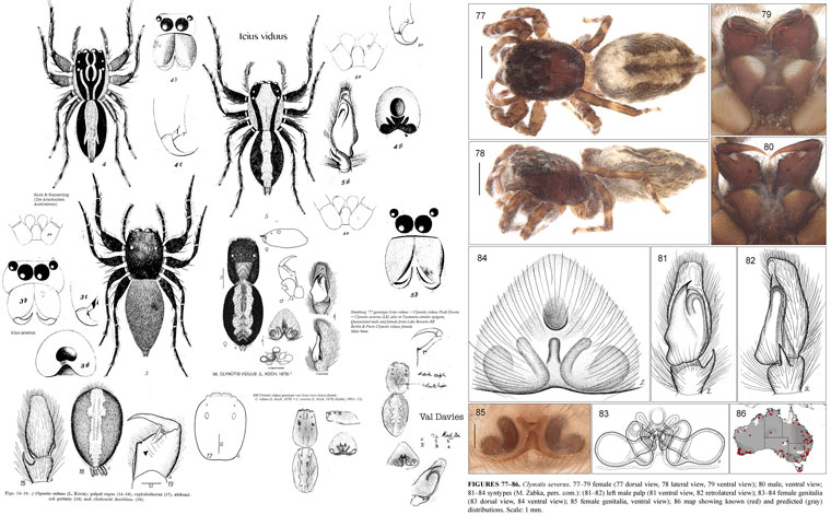 Diagnostic sheet