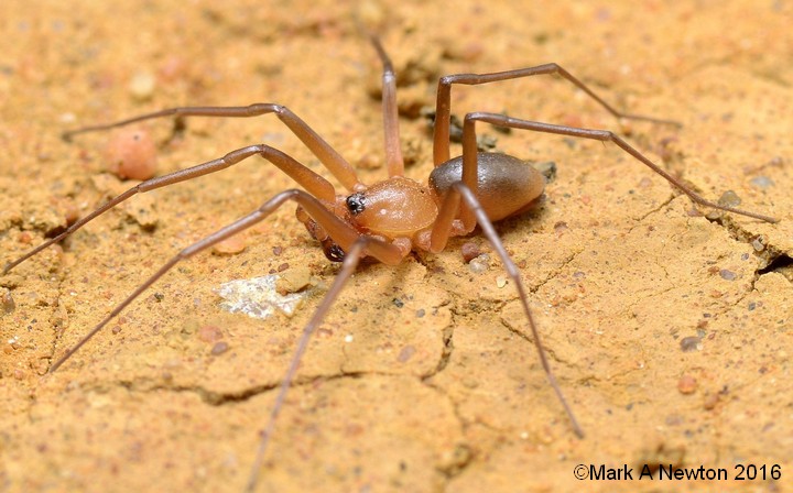 Male from side